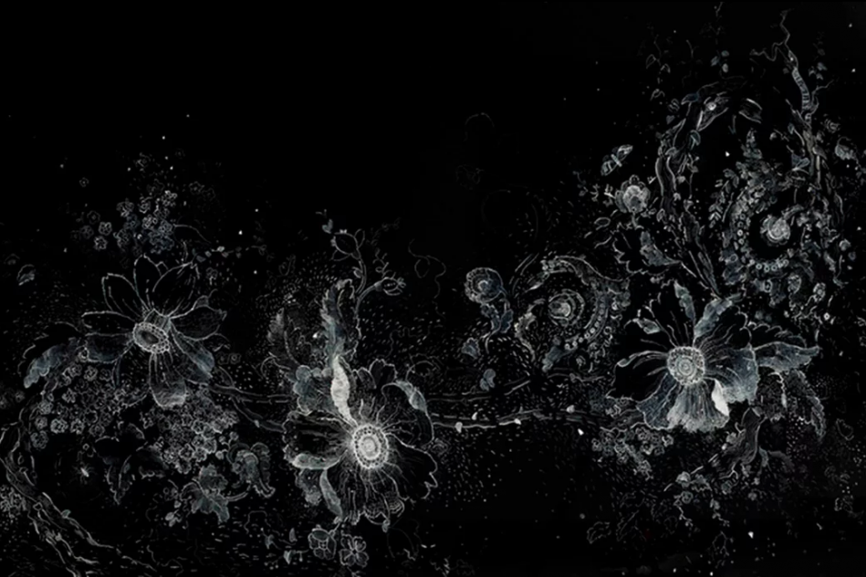 Nancy Friedmann-Sánchez