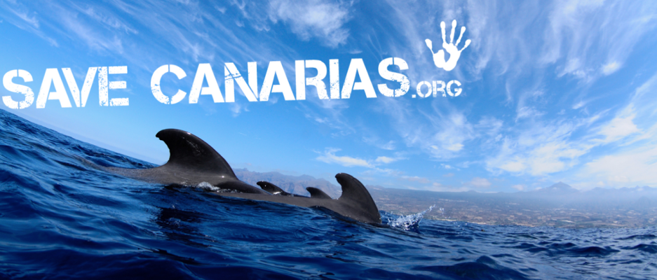 Save Canarias