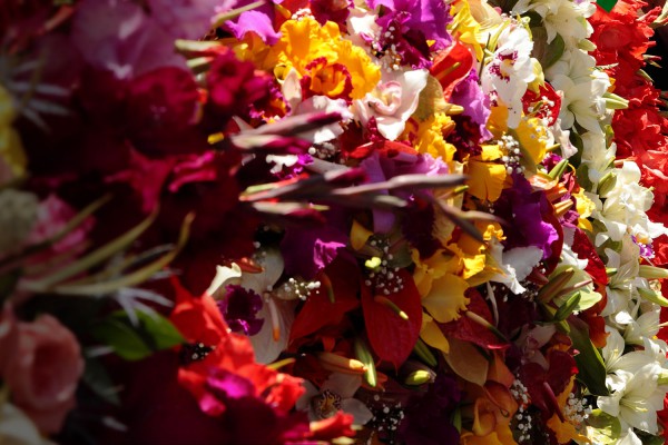 Fiesta de Flores