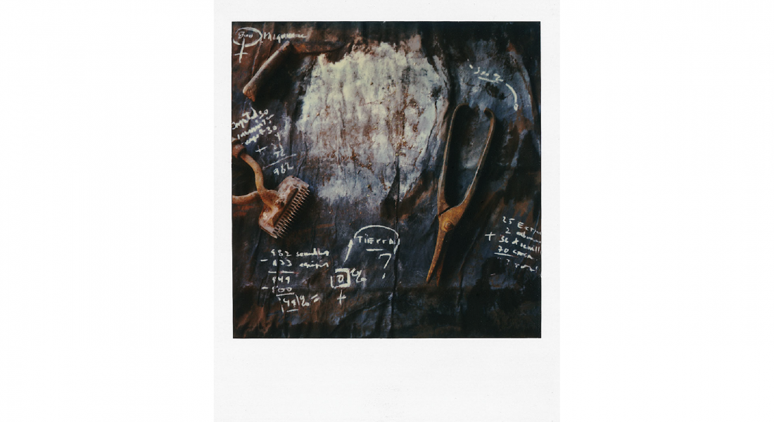 Marisela-La-Grave-Oxidados-1992-1994-Polaroid-SX-70
