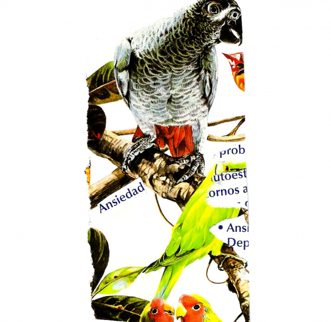 Cristina Tovar_Memorias del Verano