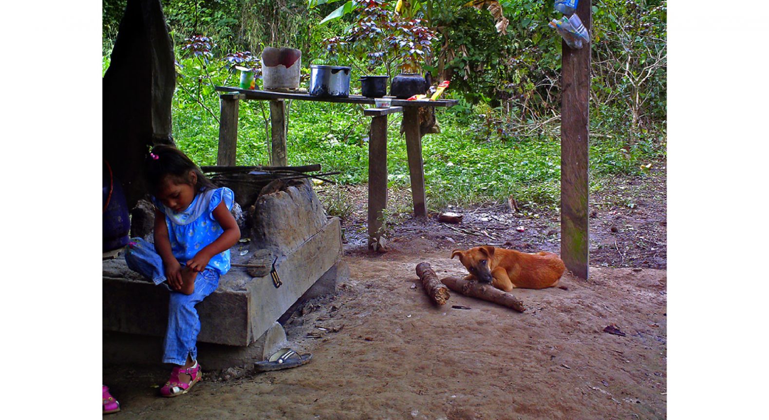 JOSE, 12 MADRE DE DIOS , PROYECTO CANDELA IMAG0014-01