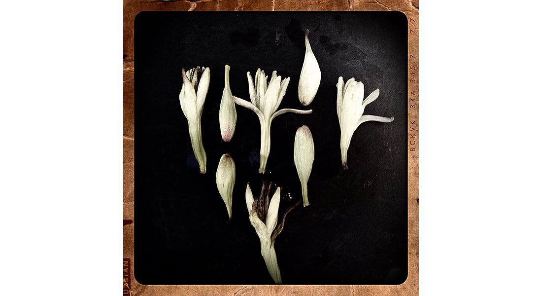 Ricardo Gómez Pérez