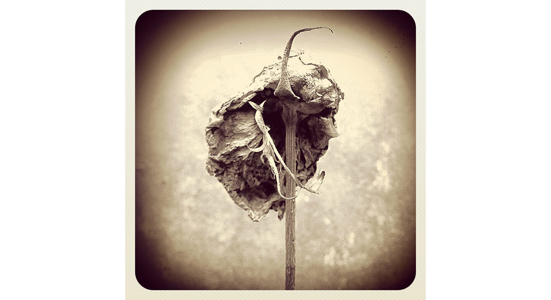 Ricardo Gómez Pérez