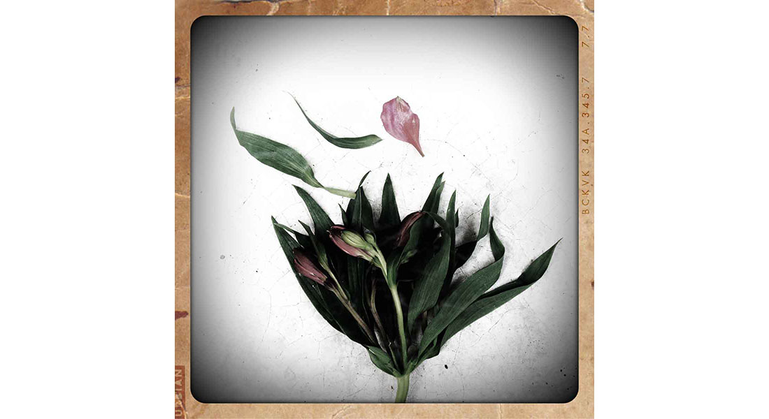 Ricardo Gómez Pérez