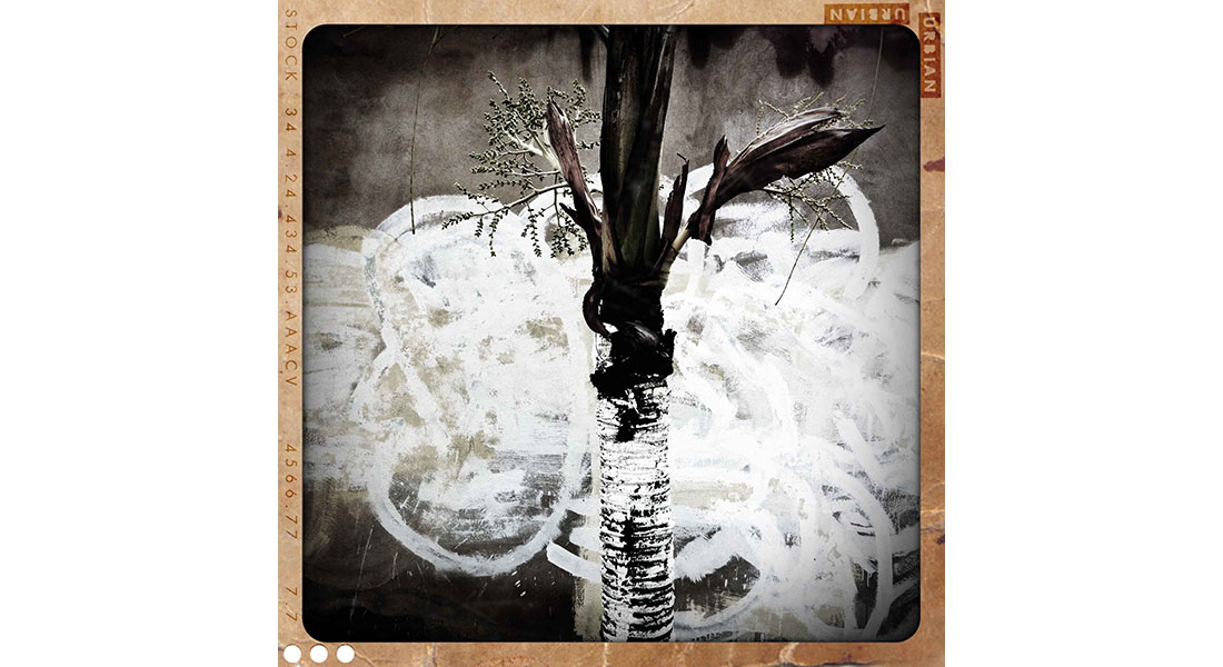 Ricardo Gómez Pérez