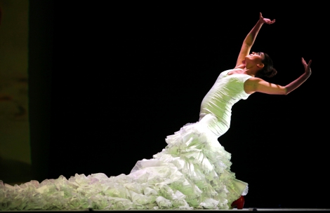 Ballet Flamenco Andalucía