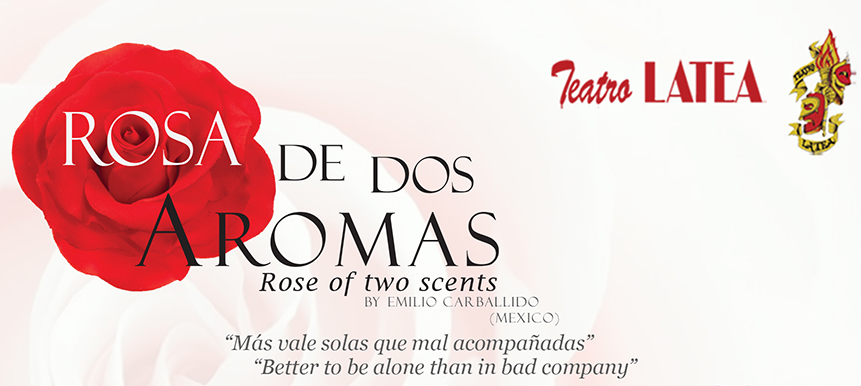 Rosa de Dos Aromas/ Rose of Two Scents - ViceVersa Magazine