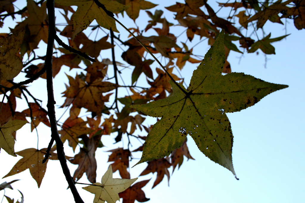 Colores de noviembre ViceVersa Magazine