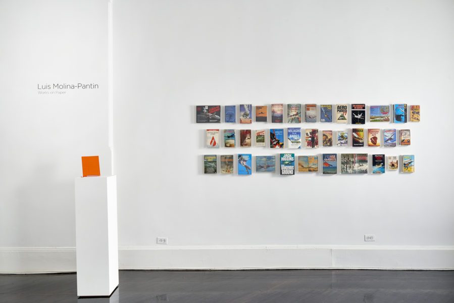 Luis Molina-Pantin