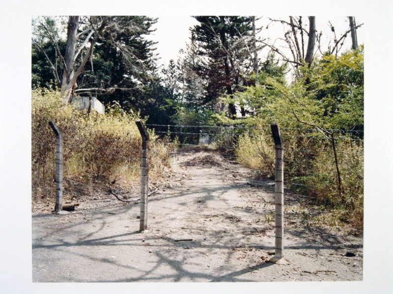 Luis Molina-Pantin