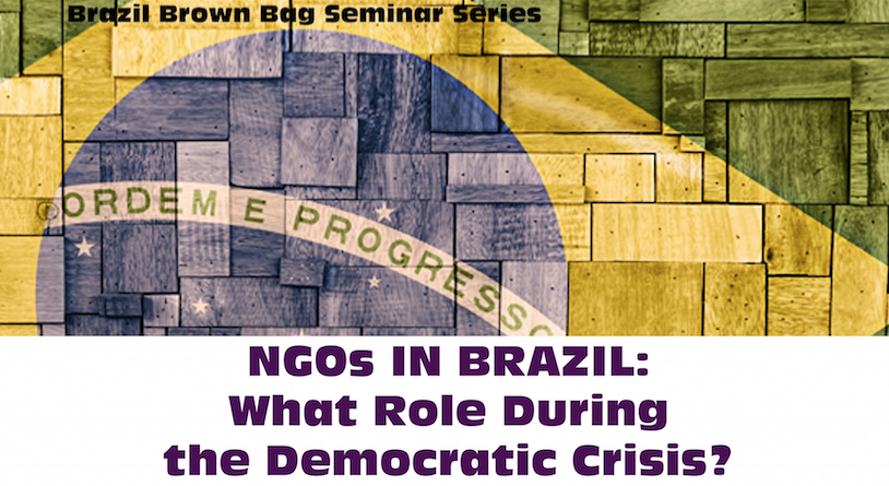ONGs en brazil