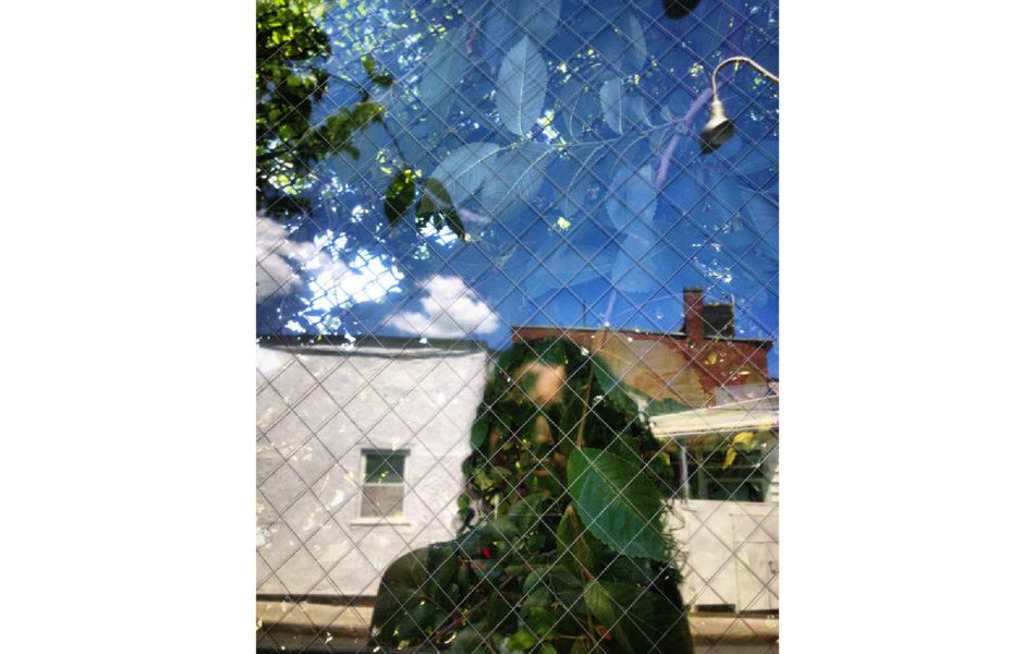 maria alejandra mata