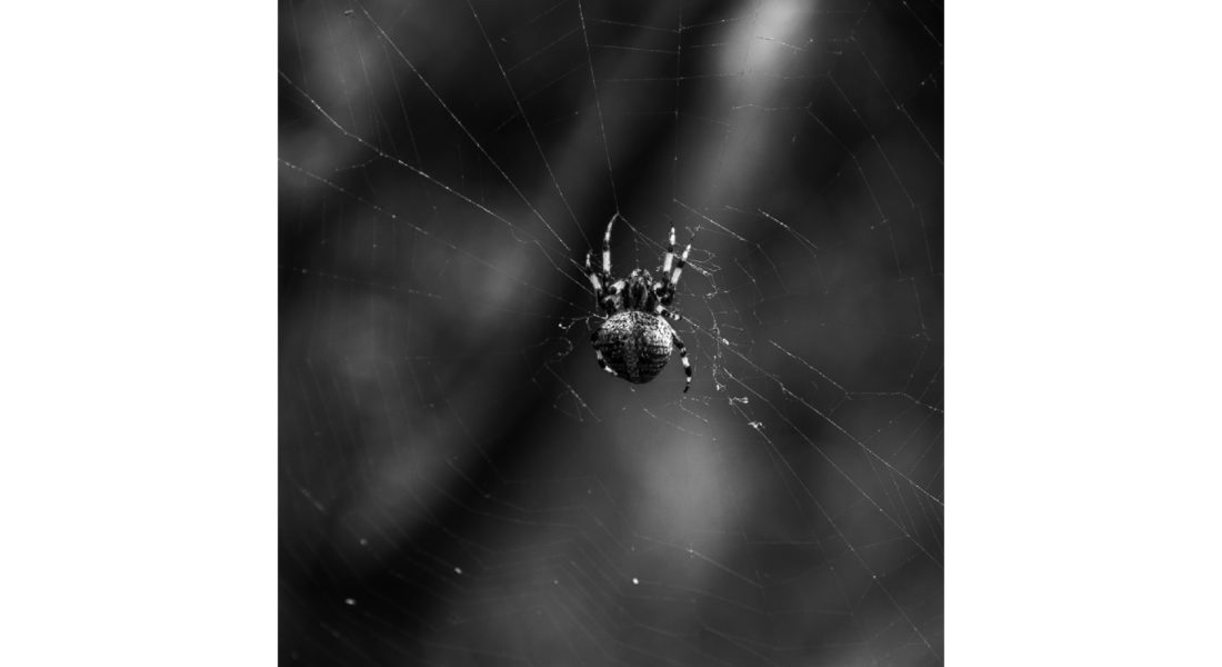 Miguel Ángel Cortes