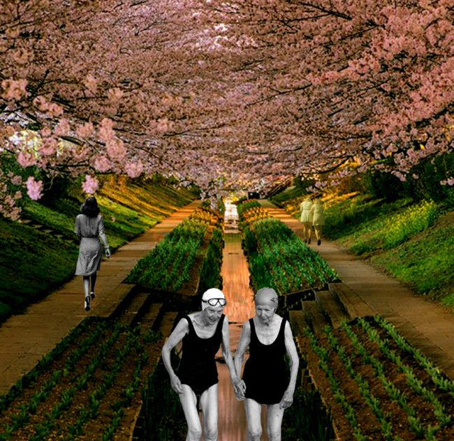 El viaje de ida y vuelta