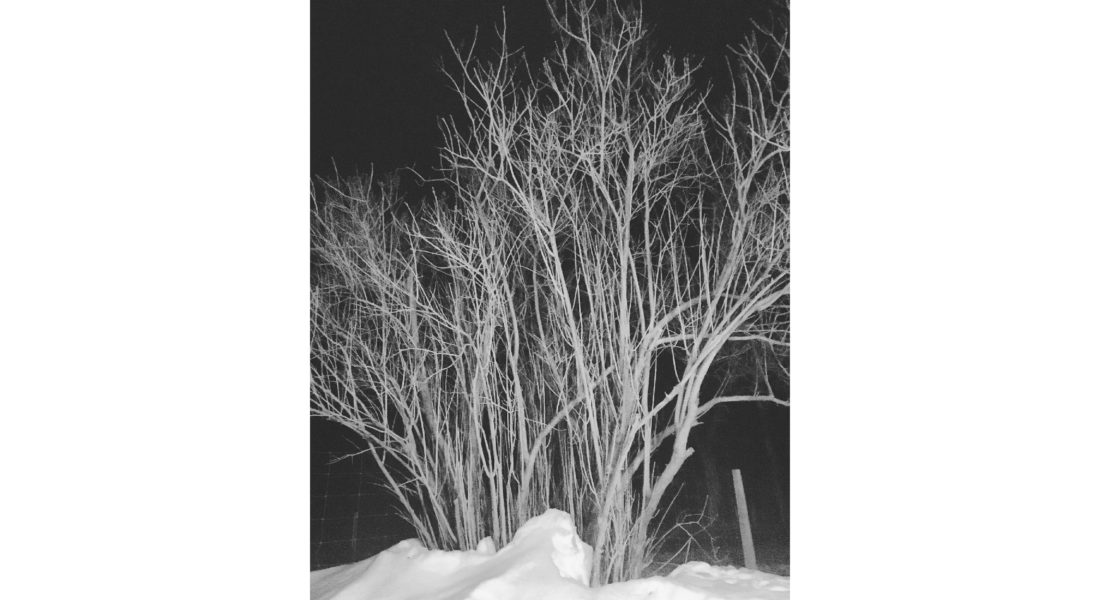 maria alejandra mata