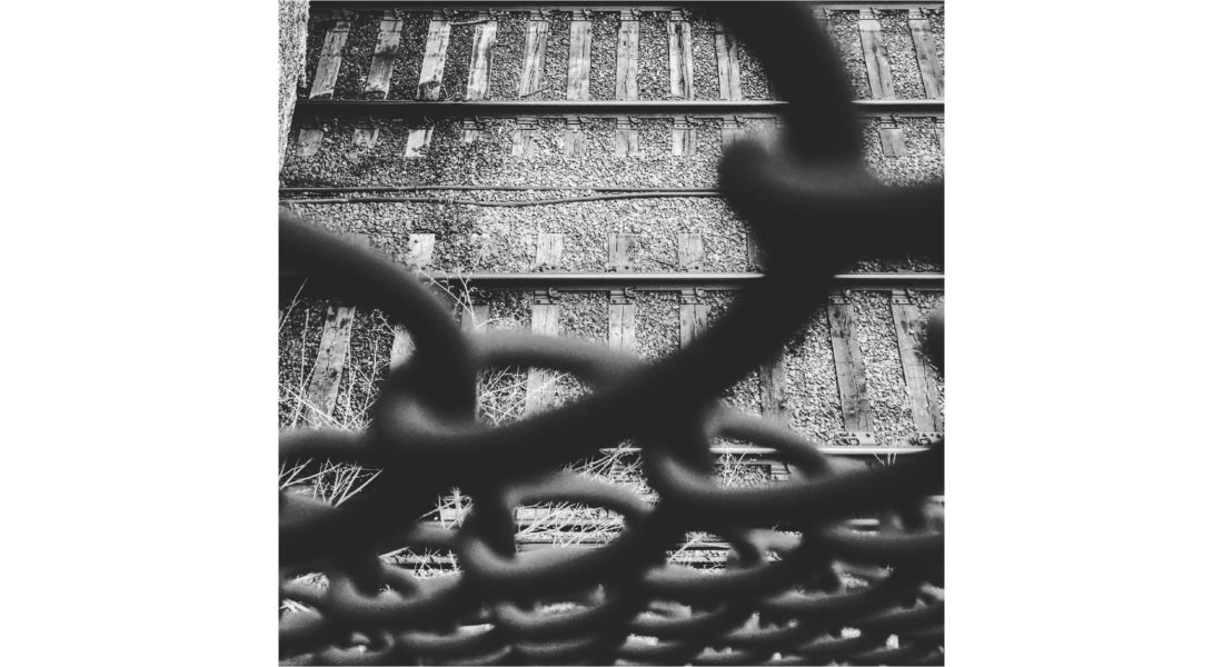 maria alejandra mata