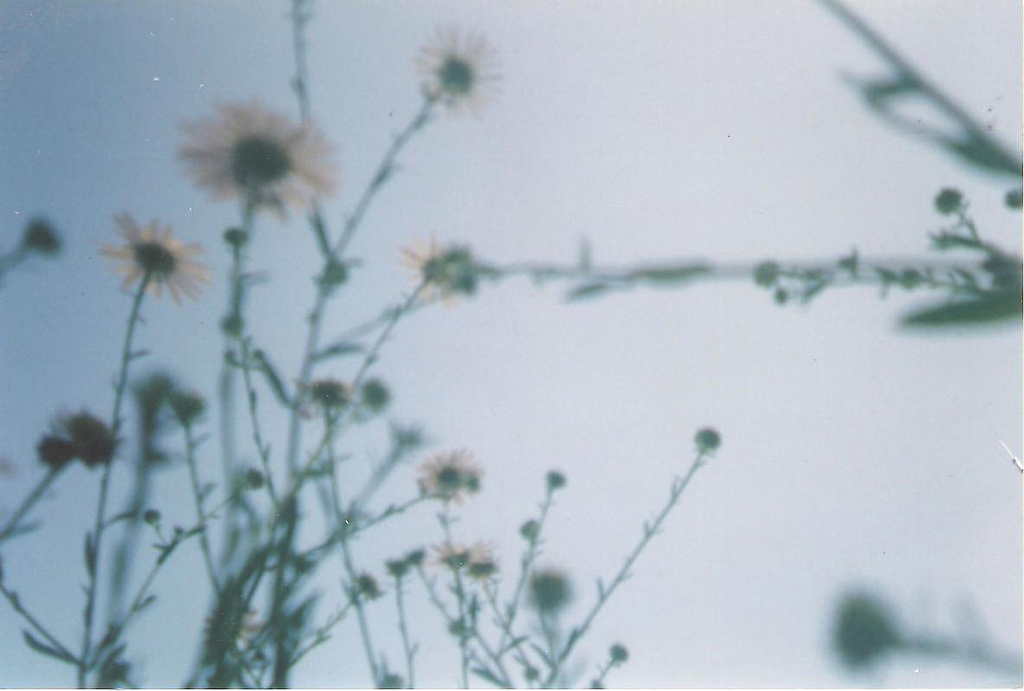 Daniel Campos