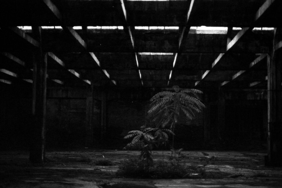 Juan Carlos Chirinos