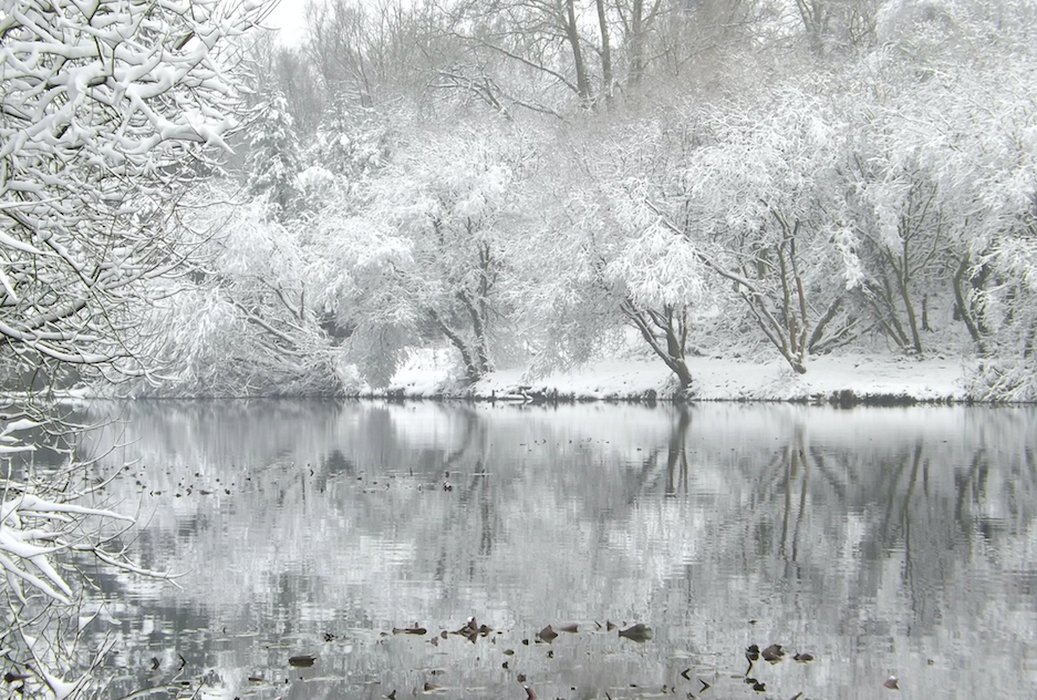 Melanie Marquez Adams
