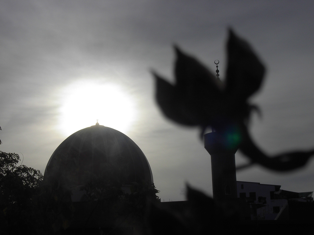 Photo Credits: haddensavix ©