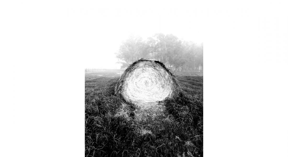 Ulmo Carcosa