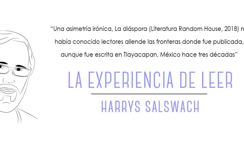 Harrys Salswach