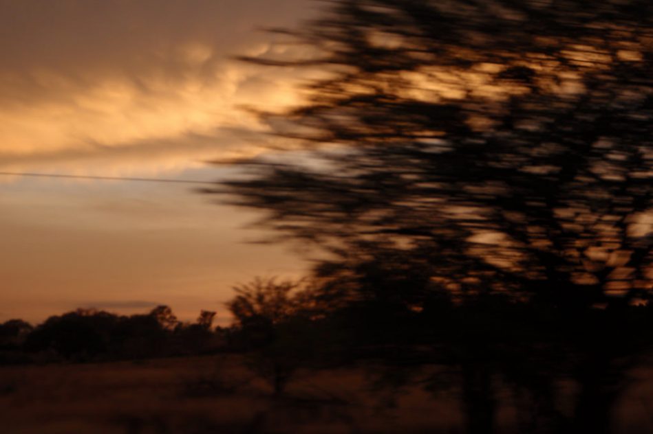 daniel campos cronicas