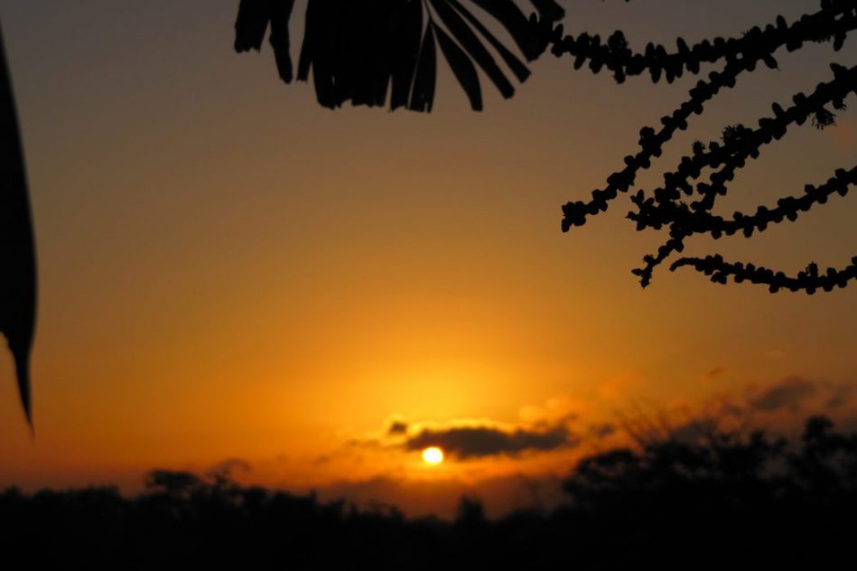 daniel campos cronica