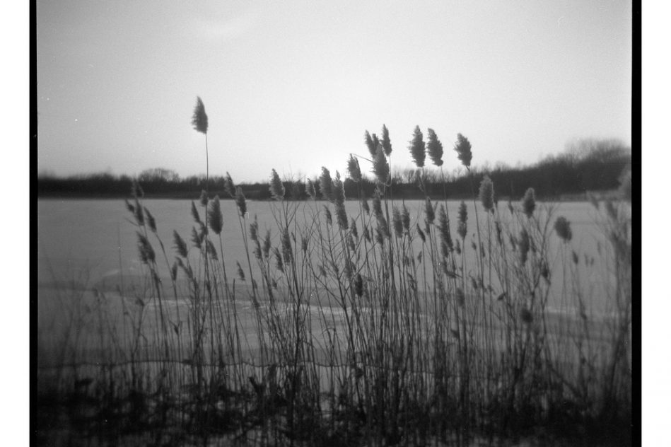 arturo serna cronica