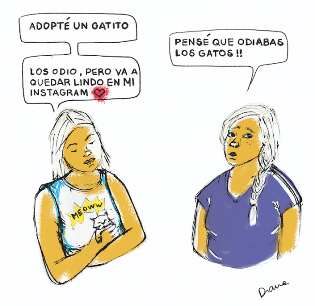 instagram ama los gatos_Diana Fookes