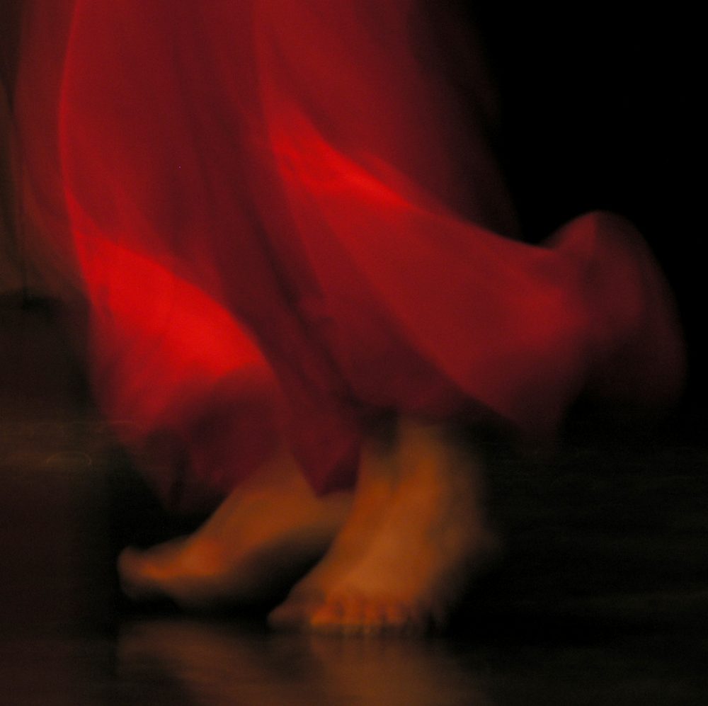 daniel campos