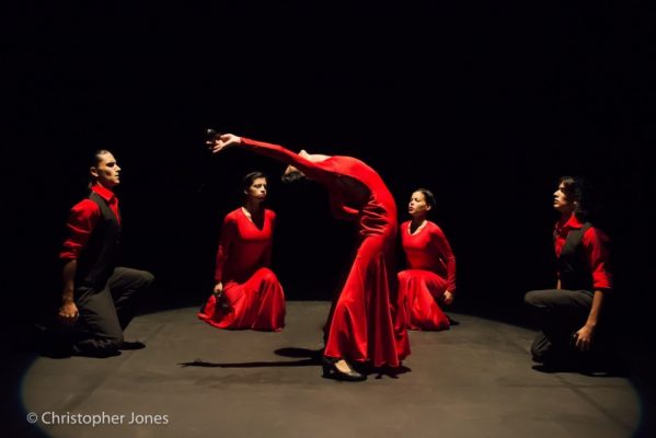 Compania Irene Rodriguez