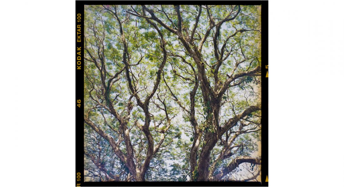 Ometepe