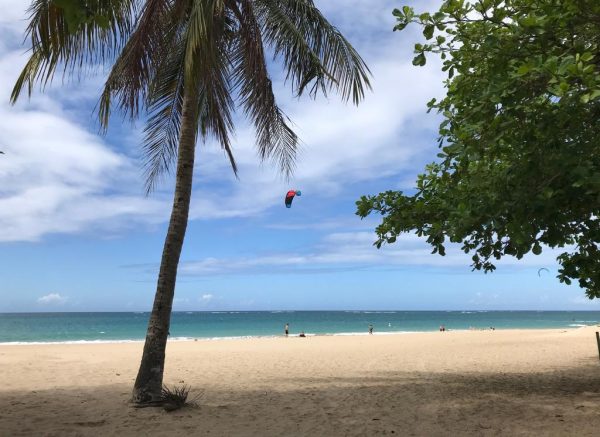 Saborea Puerto Rico