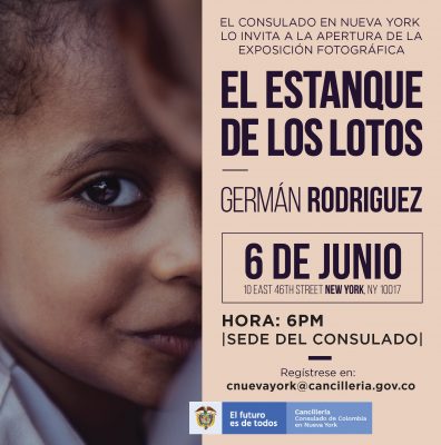 el estamqie de los lotos