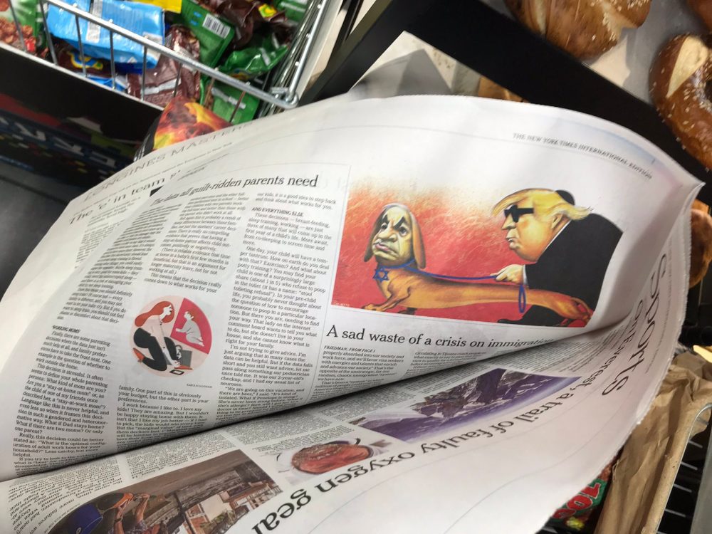nyttrumpcartoon