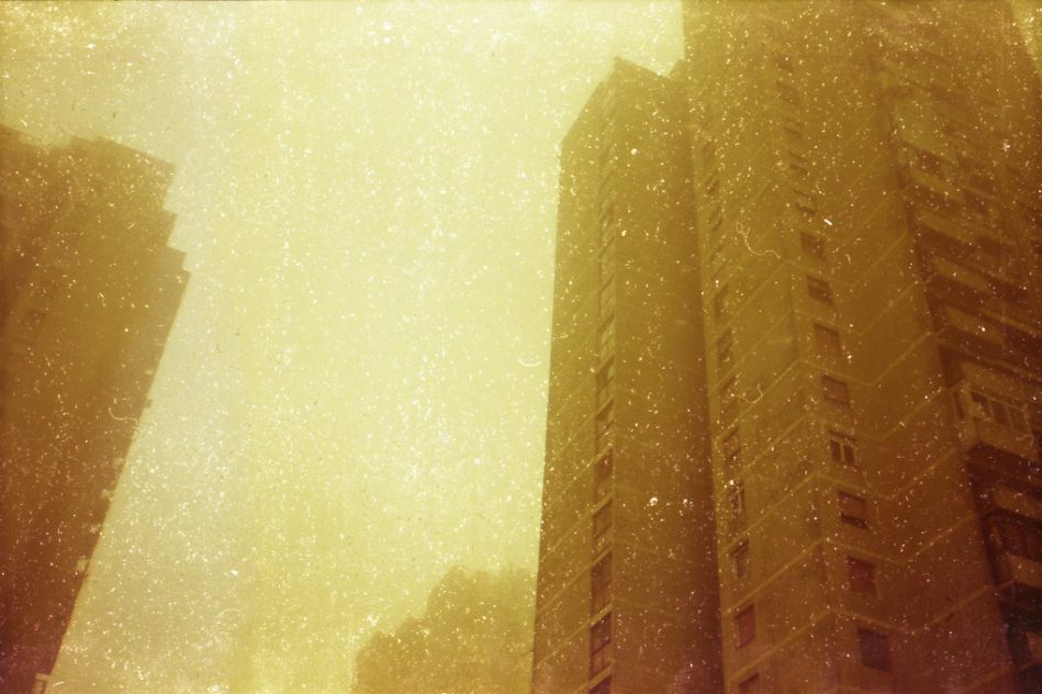 Photo by: hnt6581 ©