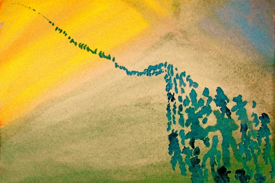 editorial viceversa migraciones