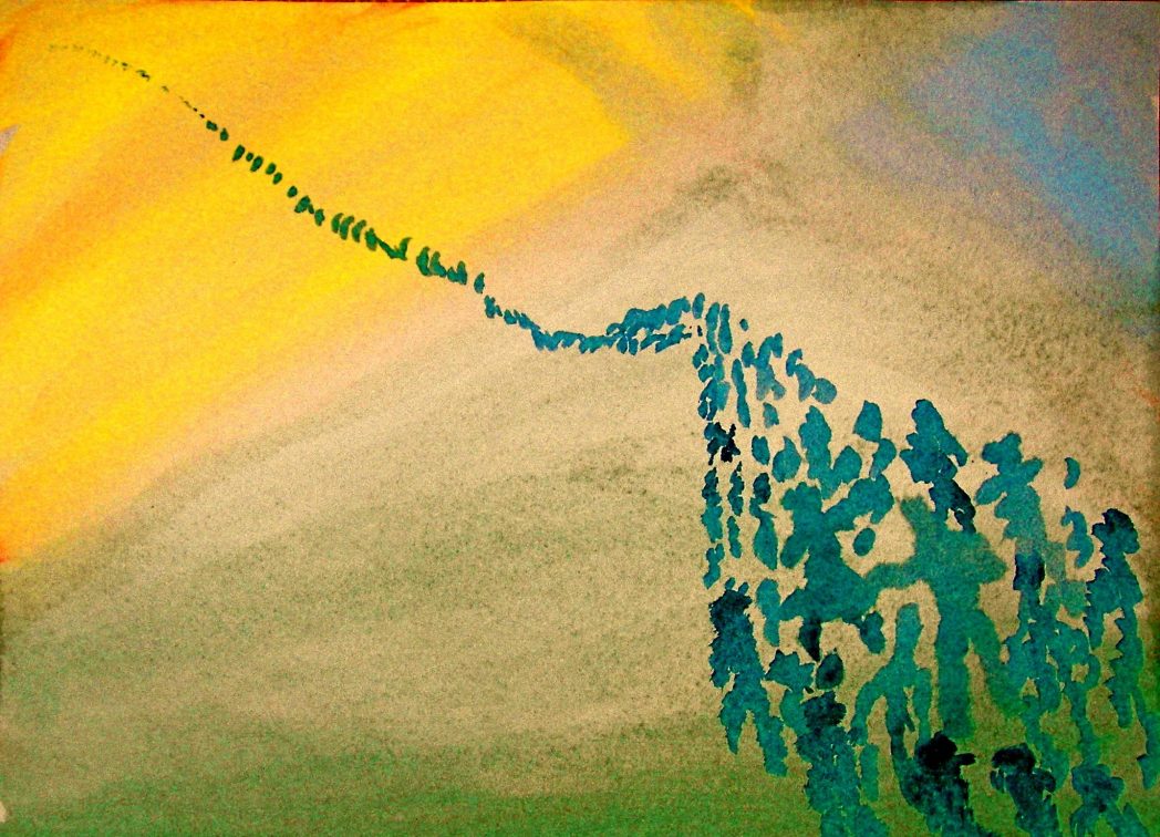 editorial viceversa migraciones