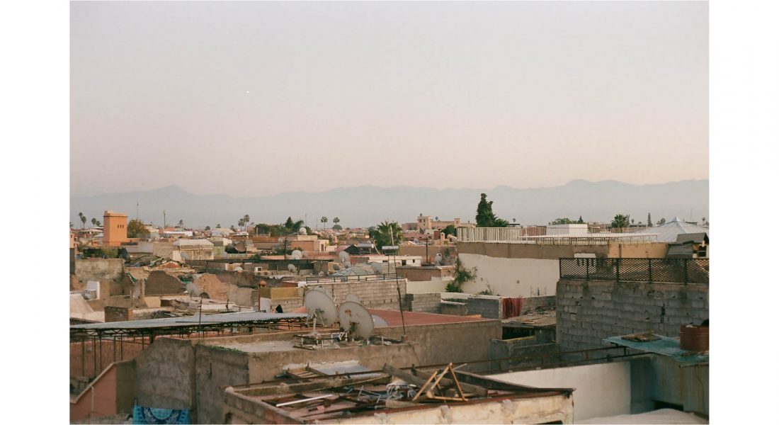 flavia romani