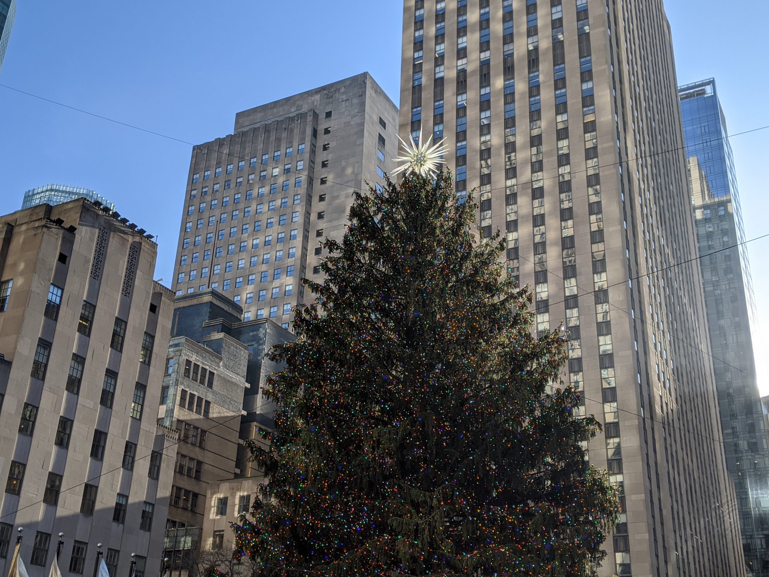 rockefeller center tree