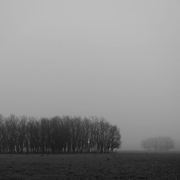 Thomas Gerlach