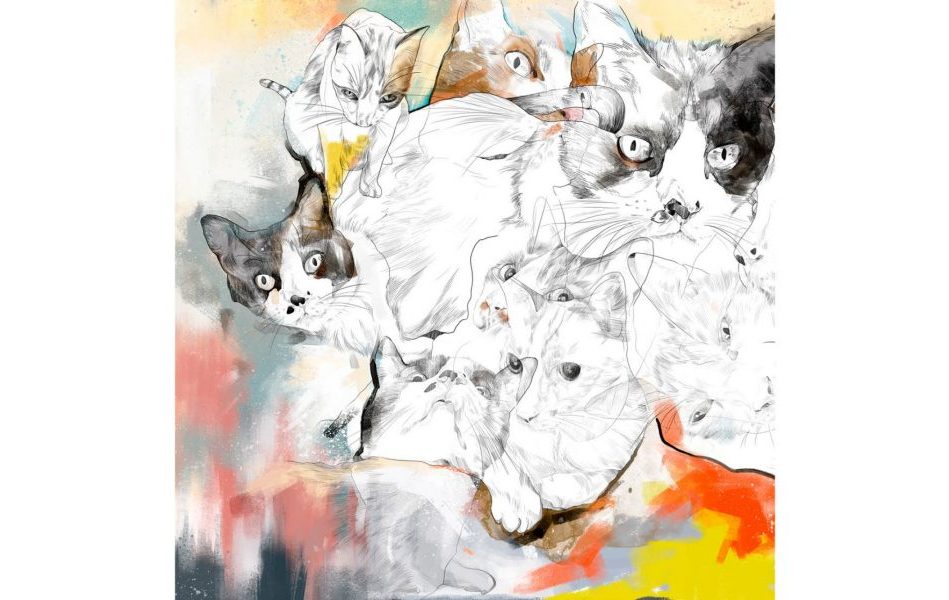 Robert Tirado ilustracion