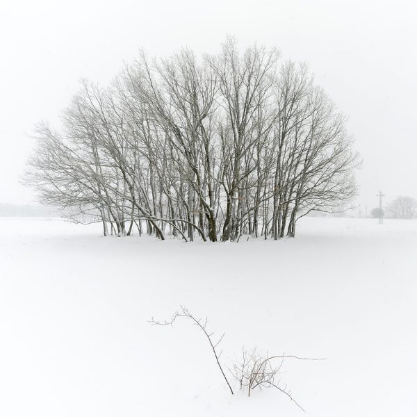 Thomas Gerlach