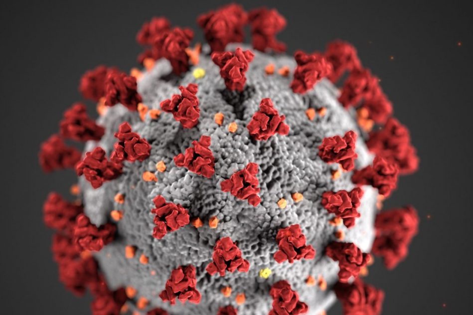 coronavirus