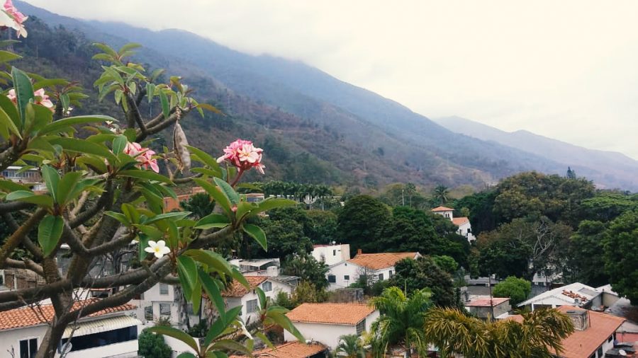 Ventana cuarentena covid19 sadio garavini di turno 2.3