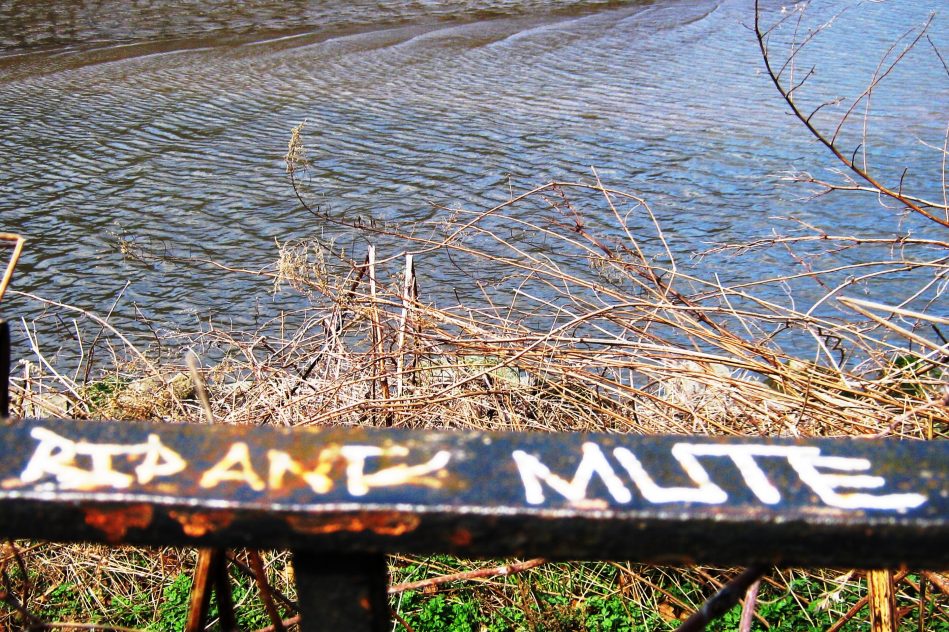 Photo by: Dinapiera Di Donato ©