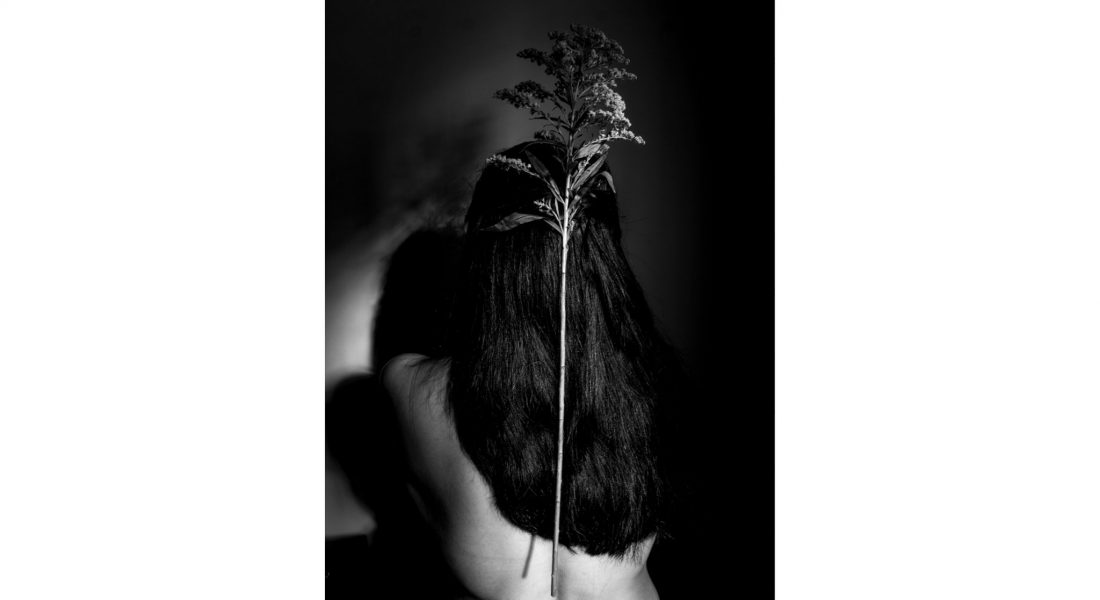 diario fotografico covid