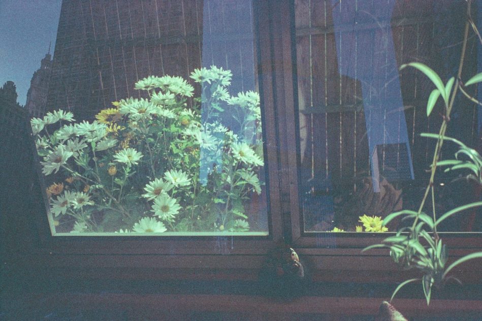 amor en tiempos de covid